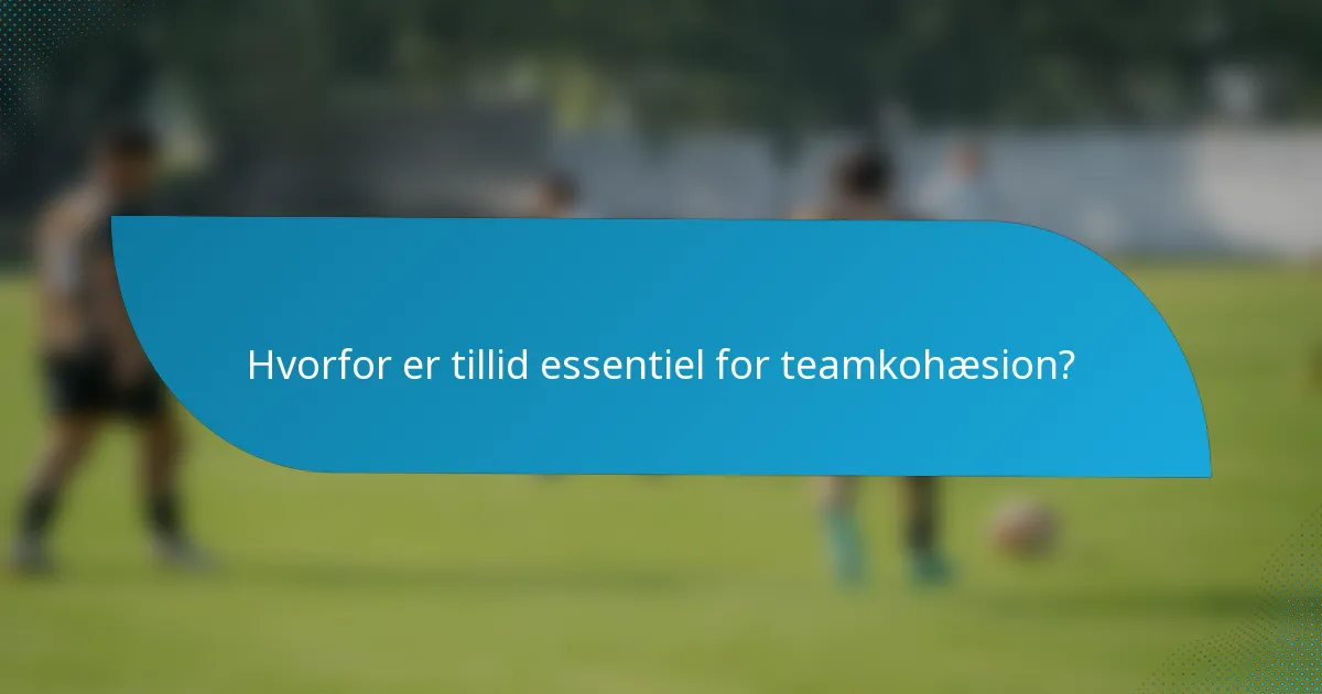 Hvorfor er tillid essentiel for teamkohæsion?